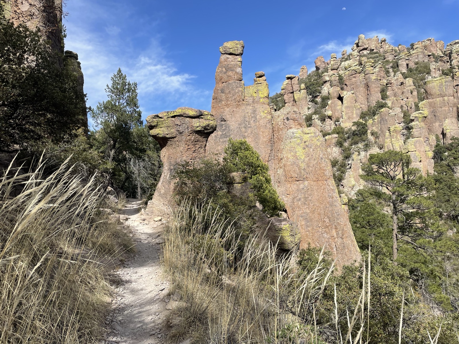 A dirt trail leads between tall rock formations, grasses and pines beneath a blue sky.